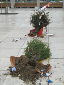 alberi natale vandali Noventa Padovana-2